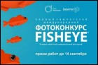 Международный фотоконкурс Fisheye