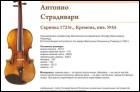 Скрипка Страдивари на Камчатке
