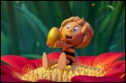 Пчелка Майя: Медовый движ (38 Кб)